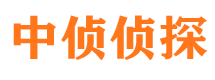 大安市侦探调查公司